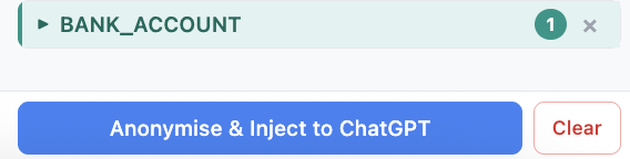 Anonymised text injected into chat